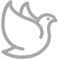 CA88(�й���)Ψһ�ٷ���վ